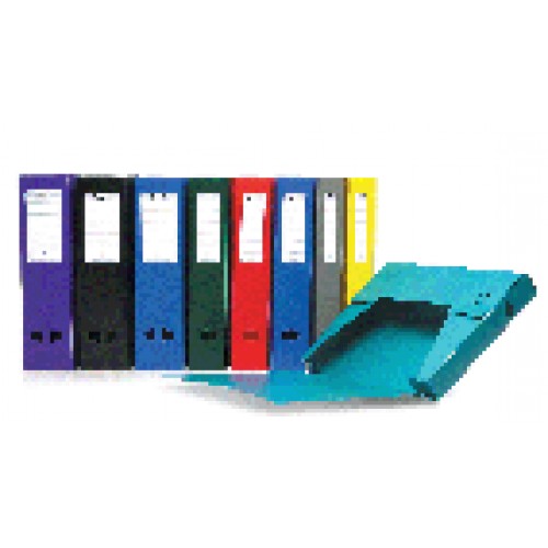 Caixa Arquivo Plastico 330x245 L80 Desmontavel cores sortida