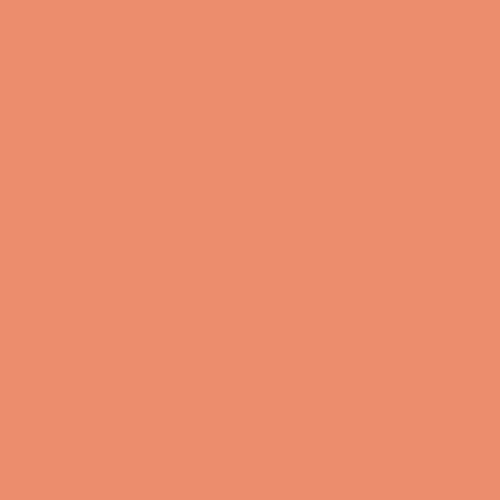 Cartolina A4 Coral 185g Canson 50 Folhas