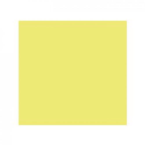 Cartolina 50x65cm Kiwi 240g 25 Folhas Canson