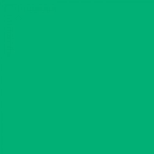 Cartolina 50x65cm Verde Hortelã 240g 25 Folhas Canson