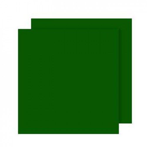 Cartolina 50x65cm Verde Amazonas 240g 25 Folhas Canson