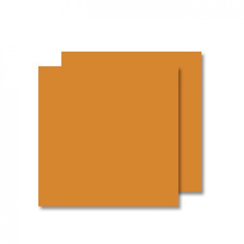 Cartolina 50x65cm Avelã 240g 25 Folhas Canson