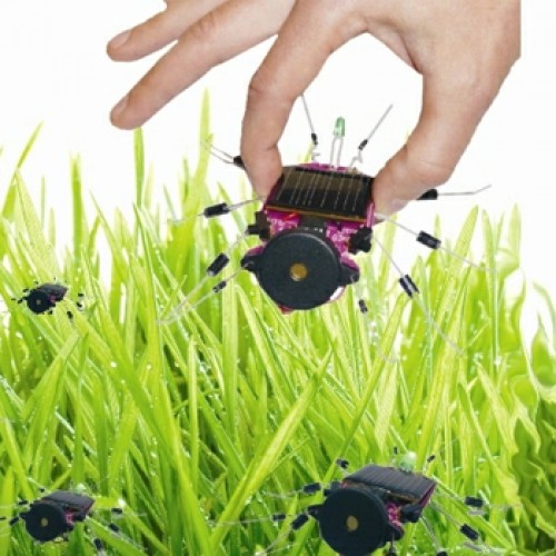 Grilo Solar em Kit