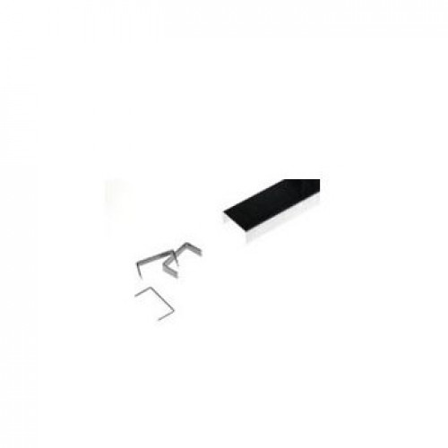 Recarga de Agrafos Epson C13S904001