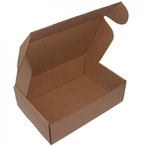Caixa Expedição Auto-Montável 310x220x050mm Cartão Micro 1un