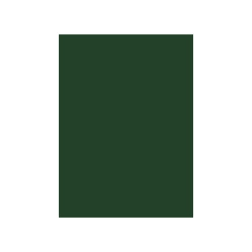 Cartolina 50x65cm Verde Oliva/Pinho 3O 180g 1 Folha