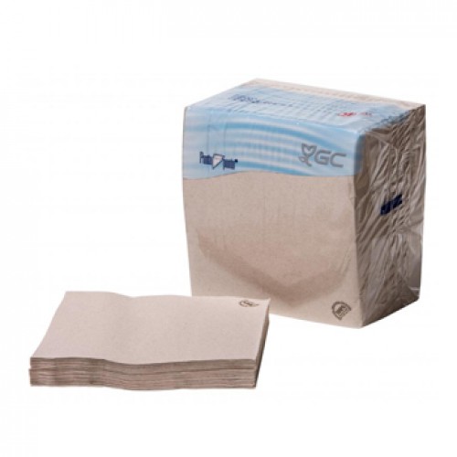 Guardanapos 40x40 2Fls Reciclados Nature P&P 100un